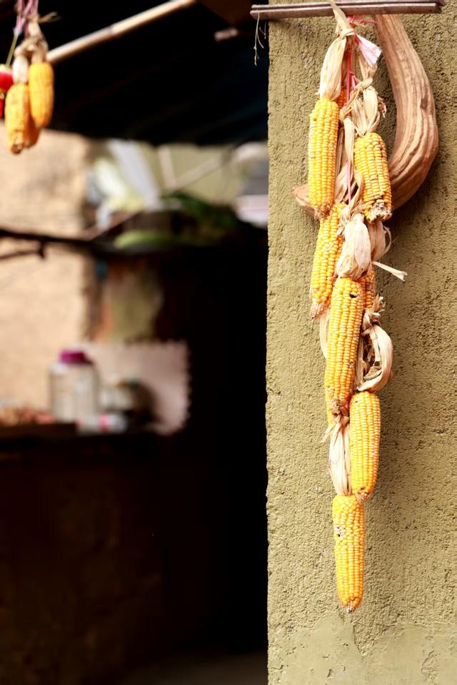 晚潮｜文昌古道秋意渐浓