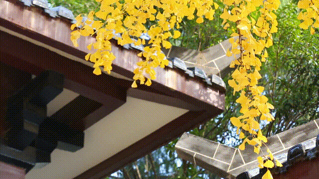 超美超出片！荆门这些宝藏地，附详细打卡攻略