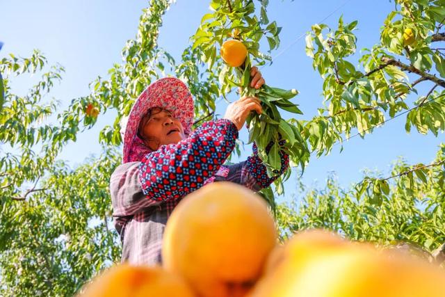 “水乡”村落、田园美食、诗意小院…打卡攻略来啦~