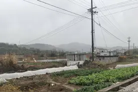 11年未了的土地官司：缴纳出让金后未获“净地”交付，开发商称因此破产图片