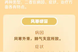 如何区分风寒感冒和风热感冒？专家教你辨证论治图片