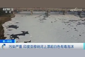 严重污染！印度首都，河面漂浮大量有毒泡沫！图片