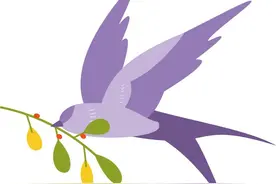 3109！3109！上财研招火热报名中～图片