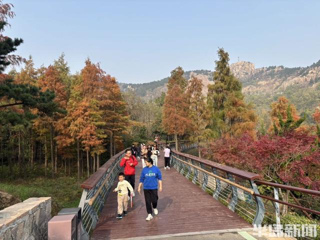 浮山南麓，藏着青岛最美冬日