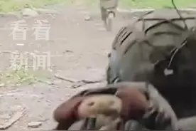 手雷“开路”！俄军空降兵火力突袭乌军前线据点图片