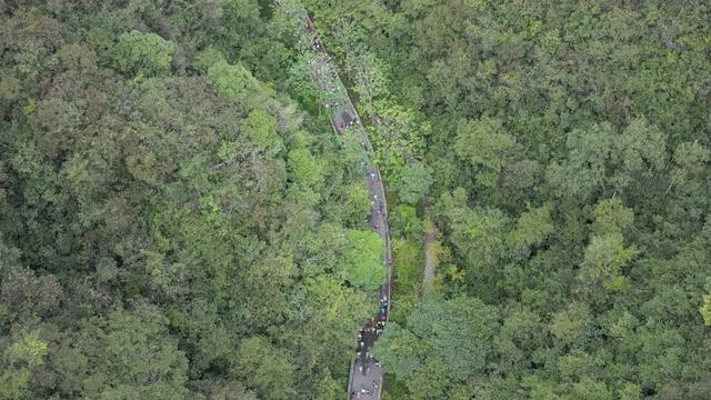 限报500名！“赛动黔景·徒旅贵州” 2025云台山徒步登高穿越赛报名开启速抢名额