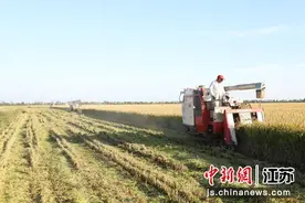 秋收正当时 江苏复兴圩农场绘就美好“丰”景图片
