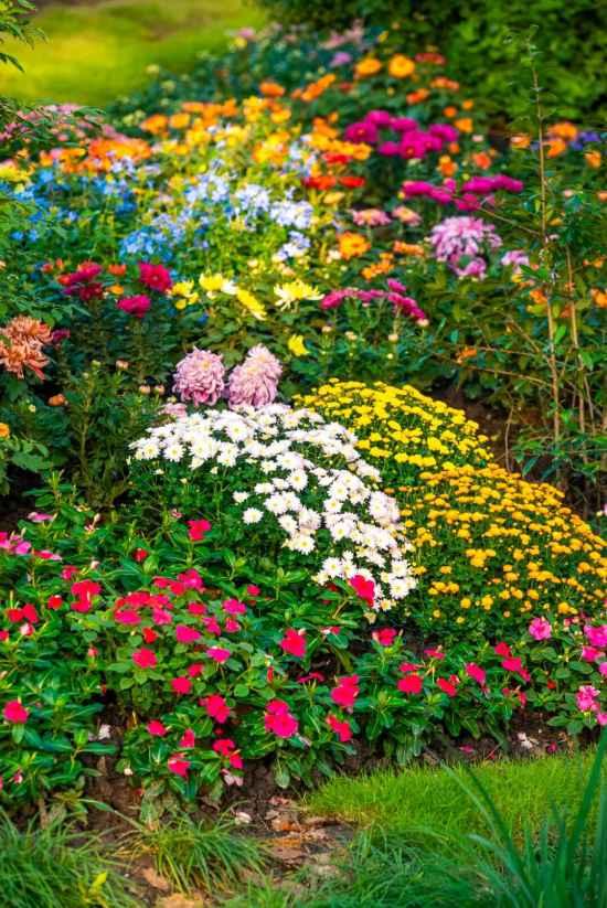 上海秋日浪漫天花板！这些花海美到让人心醉