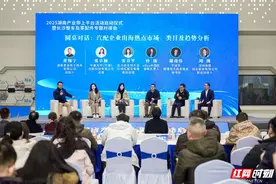2025湖南产业带上平台活动启动  跨境电商赋能千亿产业带出海图片