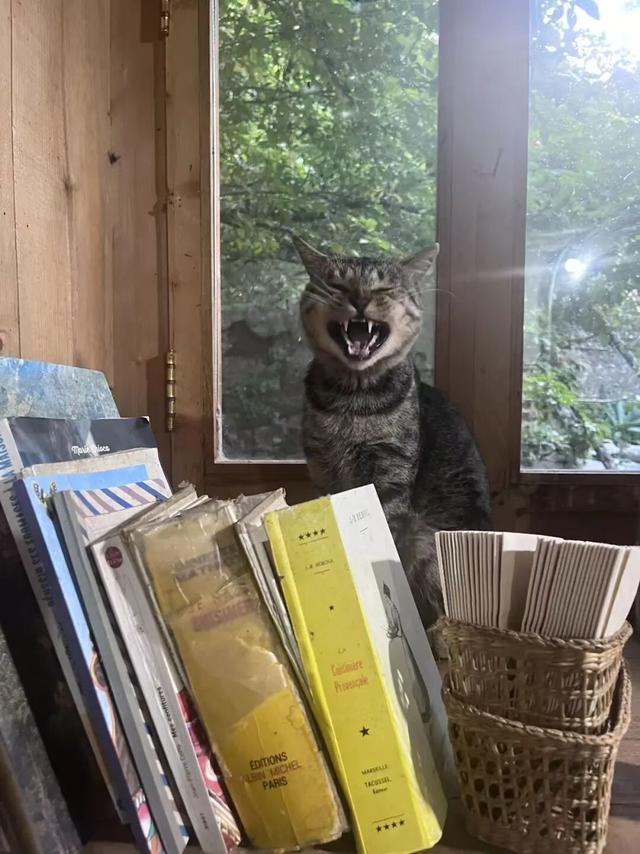 法国女士隐居云南深山15年：厌倦打工，想在中国好好生活