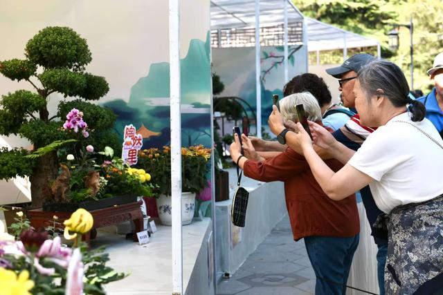 假期第二天，北京市属公园迎客64.2万人，菊花成主角