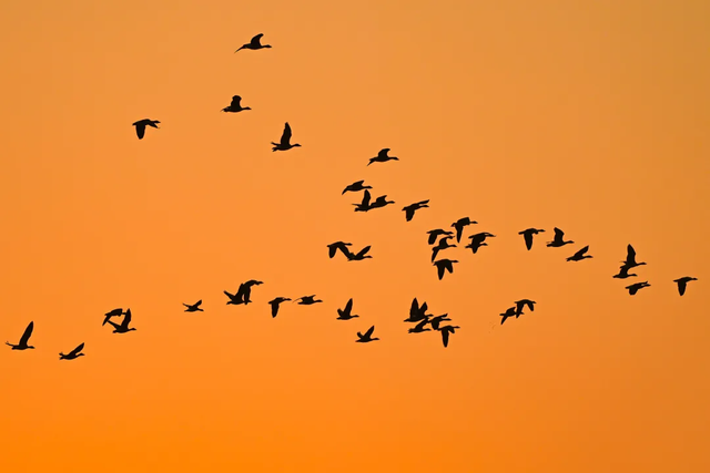 绝绝子！除了绝绝子，我还能怎么夸洛阳