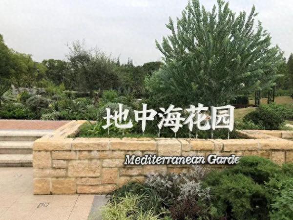 上海植物园旅游攻略(上海植物园要门票吗多少钱)