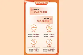 阳光财险2024年赔付302.58亿元 累计赔付1540.68万件图片