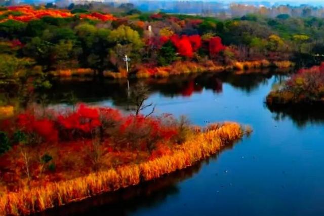 醉美坊子｜秋染小城，被时光温柔以待