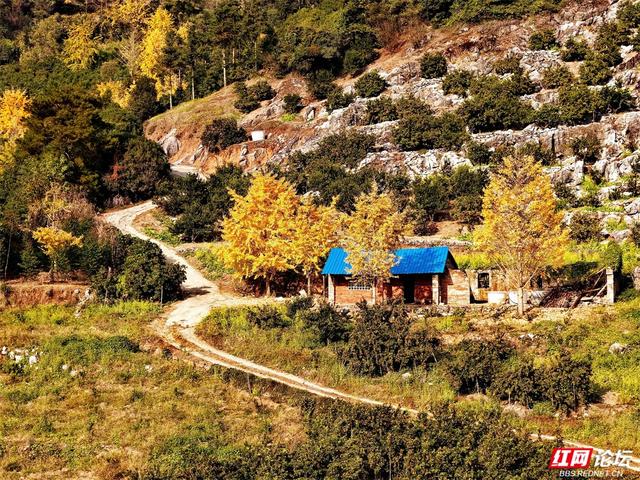 瑶乡秘境里，偷得浮生半日闲