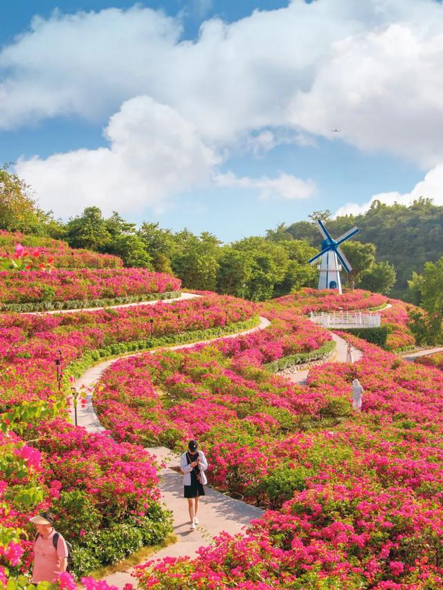 南凭高铁全线通车!广西诚邀越南游客“来中国,过周末”→