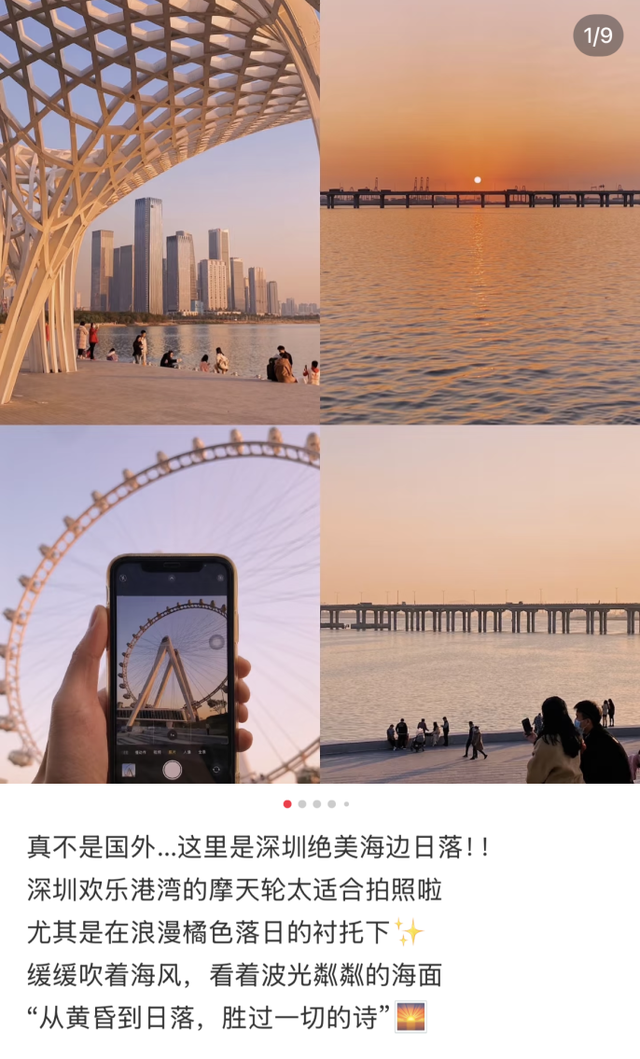 先锋在行动｜守护“一湾碧水” 让市民游玩体验更清新、更“出片”
