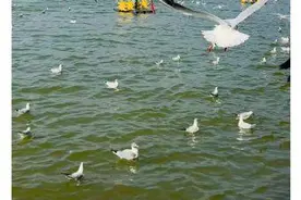 哎呀呀，昆明又被“狠狠”夸奖啦~图片