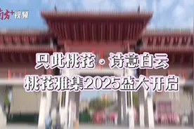 视频｜只此桃花·诗意白云！桃花雅集2025活动盛大开启，“喜桃桃”IP形象发布图片