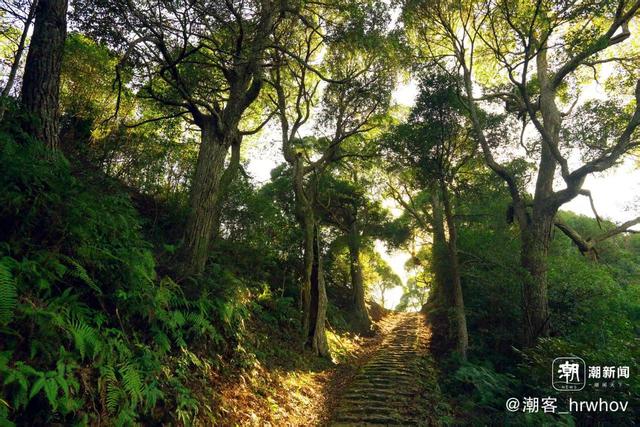 晚潮｜运动秋炉：在旅途中连接身心与自然
