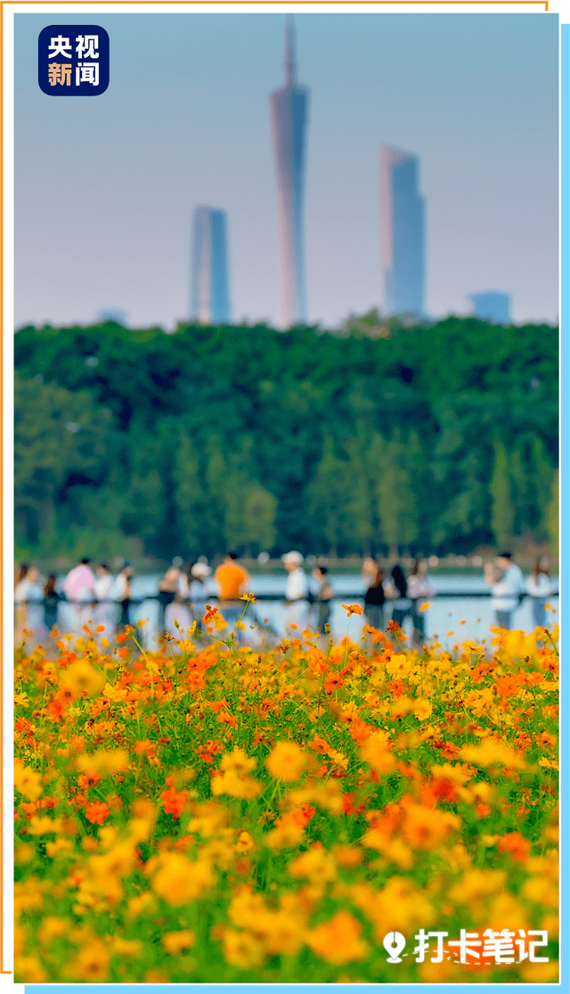 去粤港澳这篇就够了！最新指南→