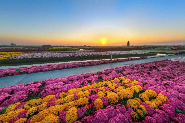 官宣！全部免费 包括所有无锡人！