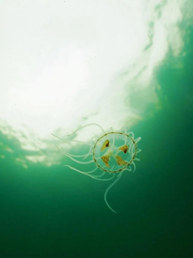 成立70周年！今天，用50图带你走进魅力瑶山