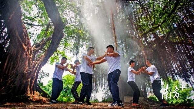 “非遗+文旅”新玩法！鹤山咏春武林大会精彩上演