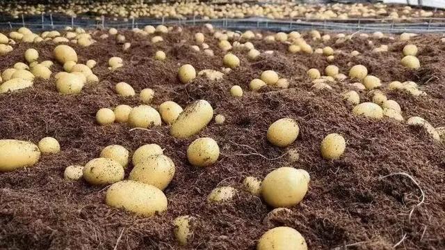 辞家千里，定西是游子地图上最柔软的坐标