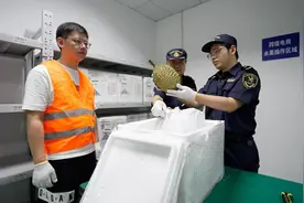消费者购买海外鲜果有了新渠道 上海首单跨境电商网购保税进口水果业务落地青浦图片