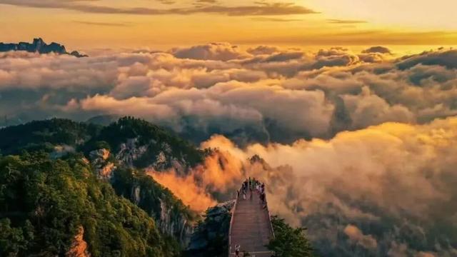 紧急提醒！别跑空！洛阳这些景区闭园至...