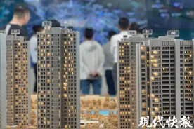 南京第二批住房消费“以旧换新”报名首日，有楼盘称8小时咨询量达200组图片