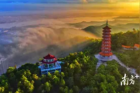 春林初盛，绿美鹤山图片