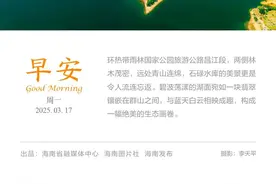 早安自贸港丨聚焦AI育种！2025种子大会将在三亚举办图片