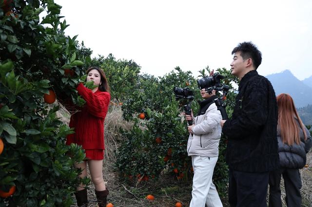 从山水秘境到舌尖盛宴 旅游达人在罗甸邂逅“橙”意暖冬