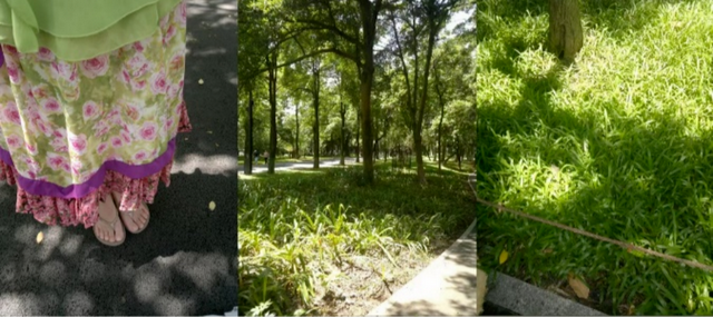 ccd买不起，100元的诺基亚古董机，成了05后大学生的梦核神器