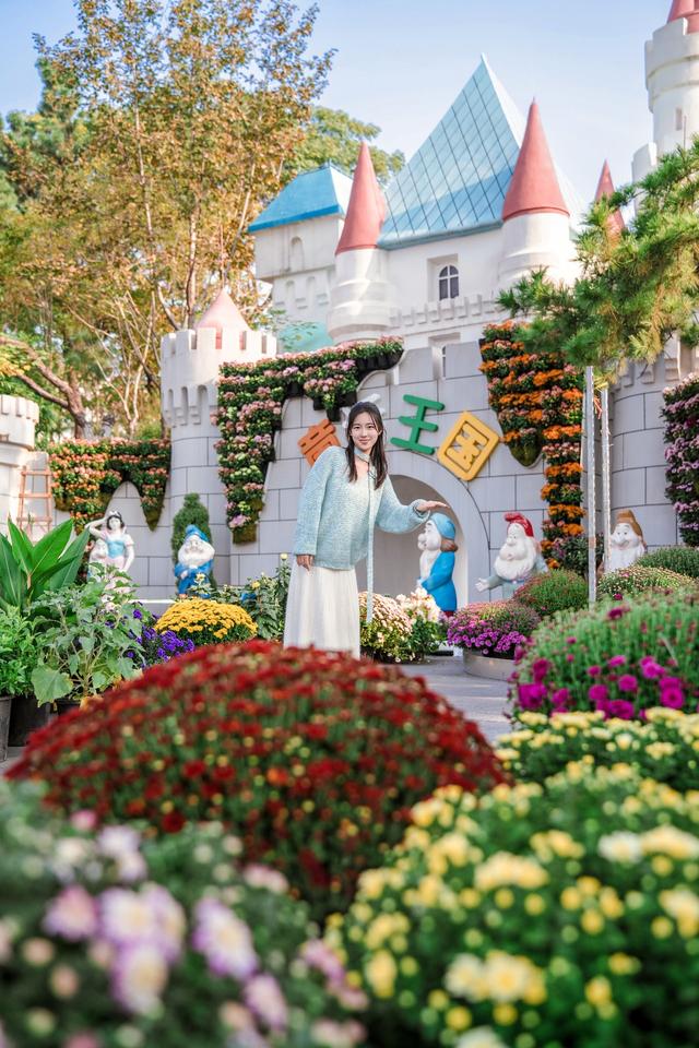 刷屏1个月正式闭幕，武汉金秋菊展留下这些名场面