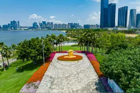 关乎“企鹅岛”、前海石公园！深圳前海今年43亿元投向这里图片