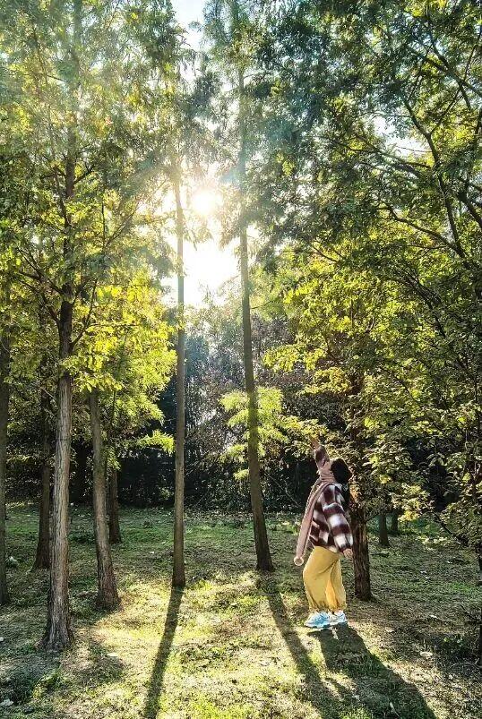 @高邮人 邀请您找寻心中的……