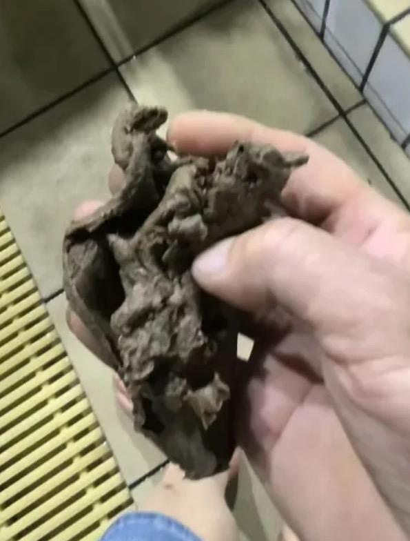 温州一游泳馆澄清“泳池惊现粪便”