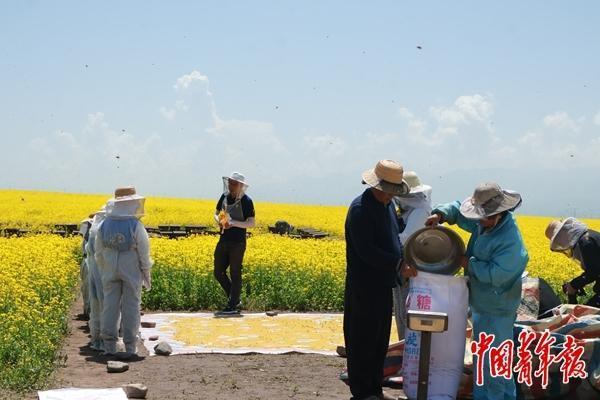 他们给孩子提供甜味研学旅行