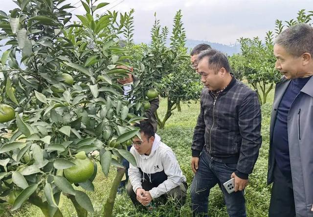 “忙得招架不住了，大家下单不要下多了！”