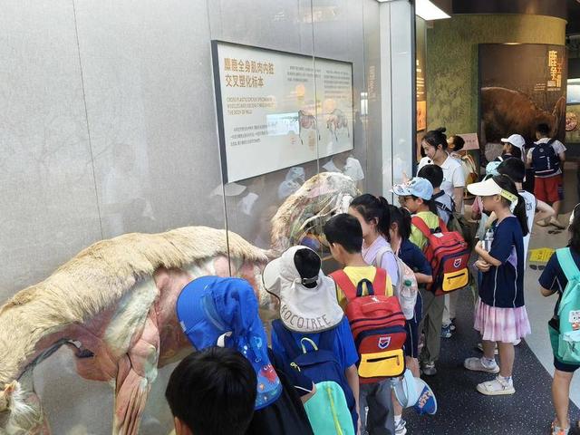 石首：“两苑”生态游持续升温 绘就“保护+旅游”新图景