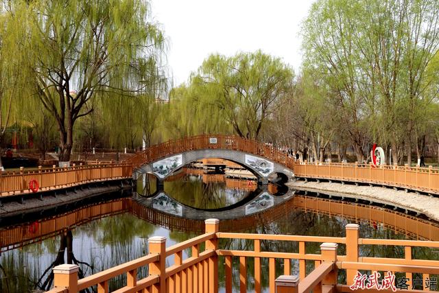 组图丨凉州植物园：春色满园关不住