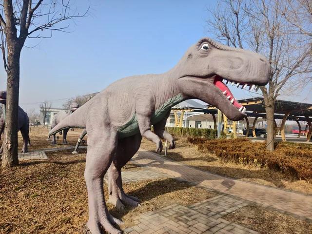 揭秘！青兰高速诸城服务区为何能成旅途中的“神秘打卡地”？