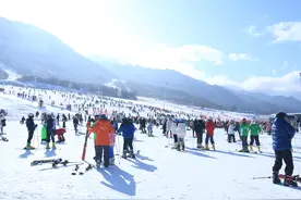 陕西太白：税收助力冰雪旅游热“雪”沸腾图片