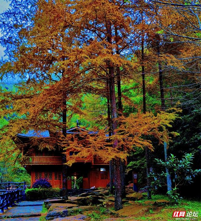 岁暖时刻丨奉嘎山：一座会呼吸的山，把人间烟火酿成了诗