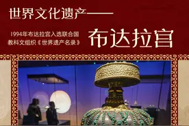 （图表·海报）美丽中国丨世界文化遗产——布达拉宫（2）图片