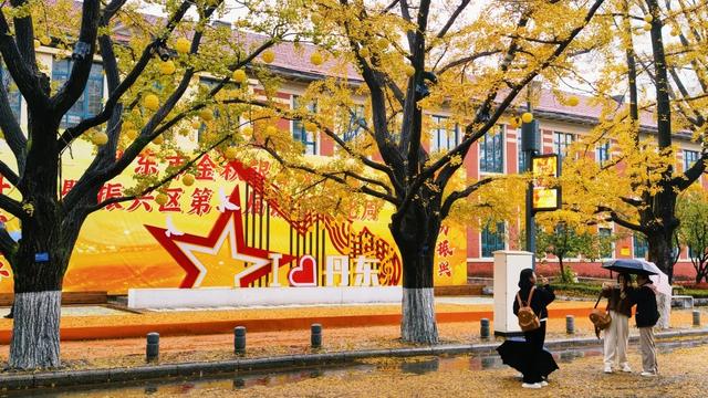 丹东百年银杏大道静候八方来客